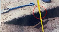Pictured is the sandpit at Neutral Bay Public School where the student suffered his injuries. This image was relied upon to argue the sand was deep enough to provide a soft-landing