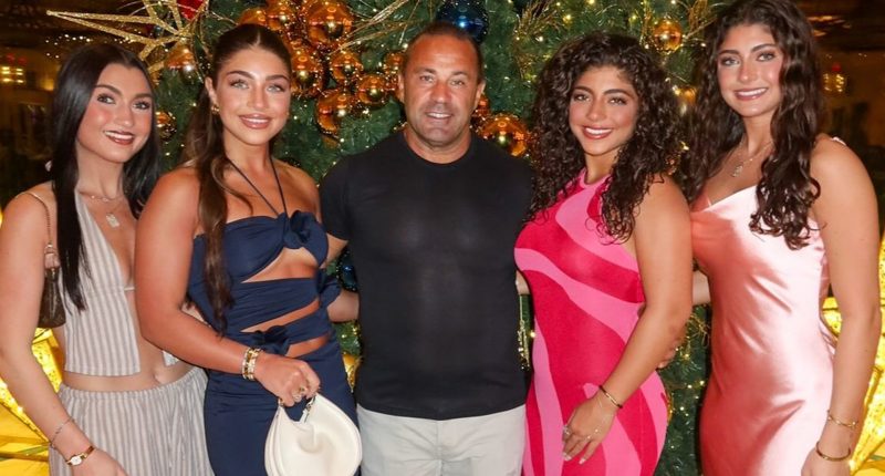 Teresa Giudice’s ex Joe makes desperate bid to be allowed back in US after deportation & hope comes from unlikely source
