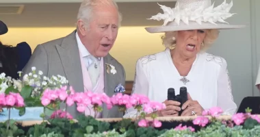That’s Not Royal Behavior! Punches Are Thrown When Violent Brawl Breaks Out at Royal Ascot