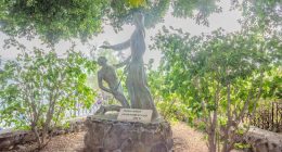 The Courageous Act of Love: Sunday Reflection