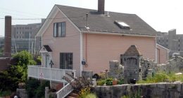 The Little Pink House