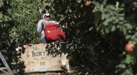 The Morning Briefing:  Dems' Fave Argument for Illegals Just Took a Kick to the Groin