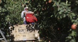 The Morning Briefing:  Dems' Fave Argument for Illegals Just Took a Kick to the Groin