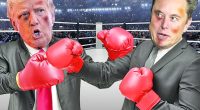 The ultimate loser of Trump and Musk’s bloody battle royale could be the nation