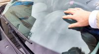Those Black Dots On Your Windshield Are More Important Than You Think