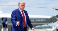 Trump Had TACOs for Saturday Dinner