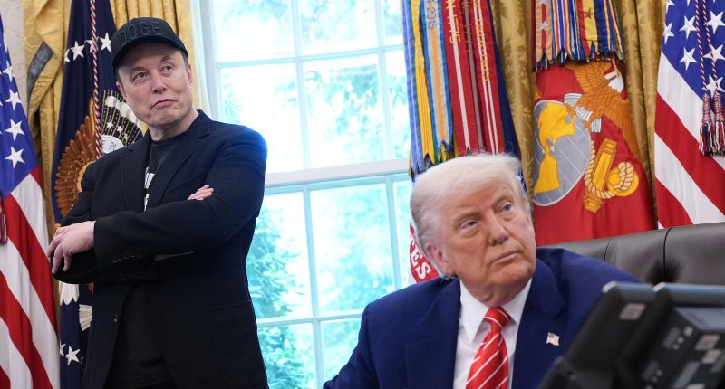 Trump & Elon Bring Their Claws Out At Each Other As Bromance Breakup Gets Nasty