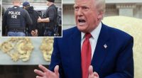 Trump to flood big cities like LA and NYC with ICE agents in ‘single largest Mass Deportation Program’ in history