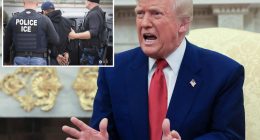 Trump to flood big cities like LA and NYC with ICE agents in ‘single largest Mass Deportation Program’ in history