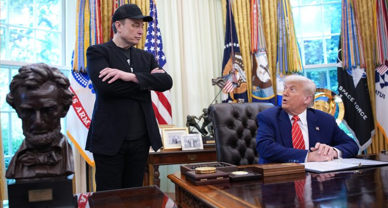 Trump's Brilliant Strategy For Proving He's Unbothered By Musk: Talking To Every News Outlet