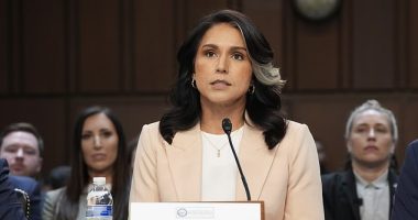 Tulsi Gabbard (pictured) finally responded to claims that she said Iran did not have nuclear capabilities after Donald Trump called her 'wrong' on the issue