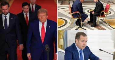 Ukraine showers Trump with praise for strikes on Iran while ex-Russian prez floats giving Tehran nukes