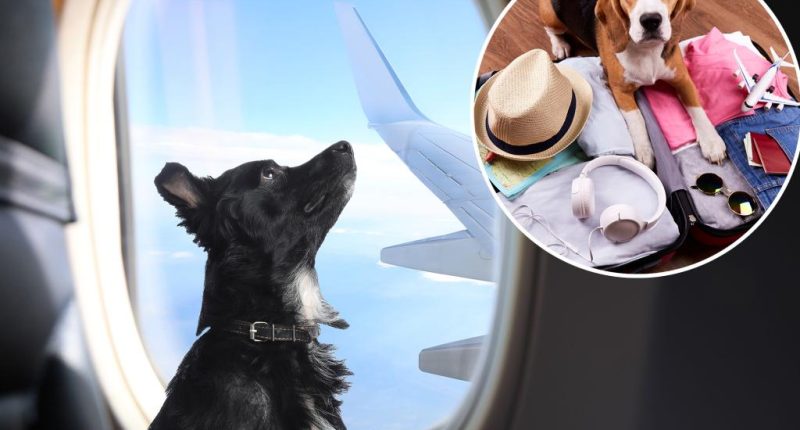 Vacation hotspot ripped over ‘ridiculous’ new policy on pets in plane cabins: ‘Garbage idea’