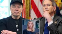 WH press secretary brushes off reports Musk ‘body-checked’ Treasury chief: ‘Robust disagreement’