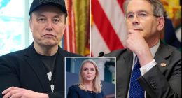 WH press secretary brushes off reports Musk ‘body-checked’ Treasury chief: ‘Robust disagreement’