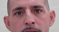 Anthony Boccamazzo, 40, removed the tracking device about 4.30pm on Sunday