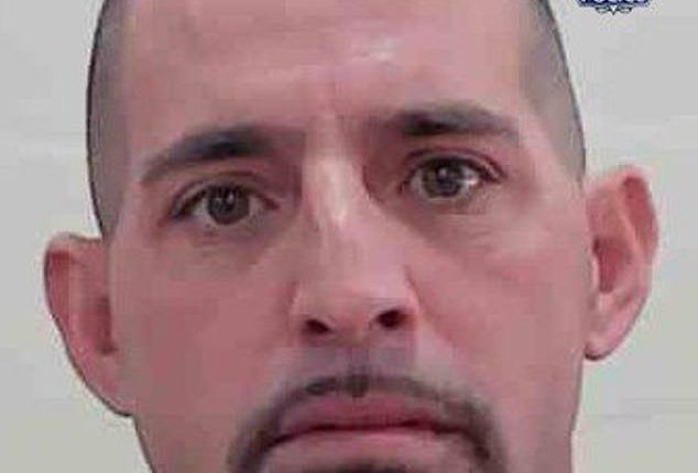 Anthony Boccamazzo, 40, removed the tracking device about 4.30pm on Sunday