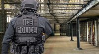 What Does ICE Stand For?