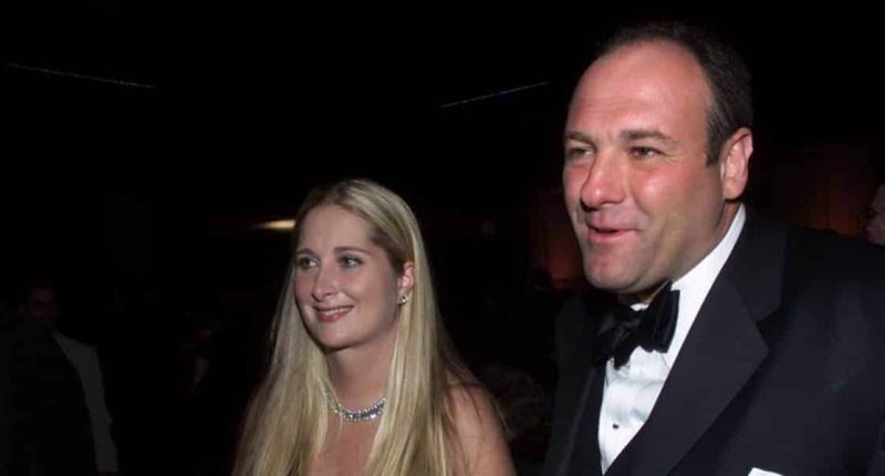 Where is James Gandolfini’s ex-wife Marcy Wudarski now? Wiki