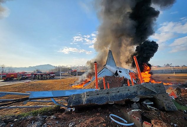 December 2024: A Jeju Air Boeing 737-800 series aircraft after the plane crashed and burst into flames. The plane carrying 181 people from Bangkok to South Korea crashed on arrival and 179 died