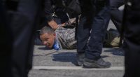 Whiplash, Caught in a Whiplash: Just Like That, We're Deporting Illegal Farm and Hotel Workers Again