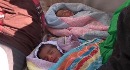 Will 800 Babies Tossed in a Septic Tank Finally Be Laid to Rest?