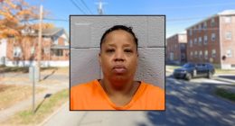 Woman stabs ex-boyfriend with ‘Rambo knife’ and is arrested the next day with blood on her dress and sandals: Cops