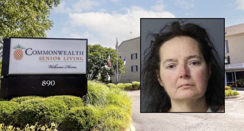 Woman told elderly mom 'this is for the best' as she held her wrists while son allegedly strangled her with Dollar Tree handbag strap