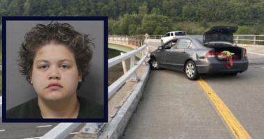 Woman who killed 3 roommates and left behind money, instructions to care for her dog before going on the run learns her fate