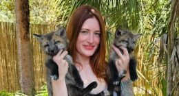 YouTube fox rescue star Mikayla Raines dies by suicide aged 29 as tearful husband Ethan blasts online bullying campaign
