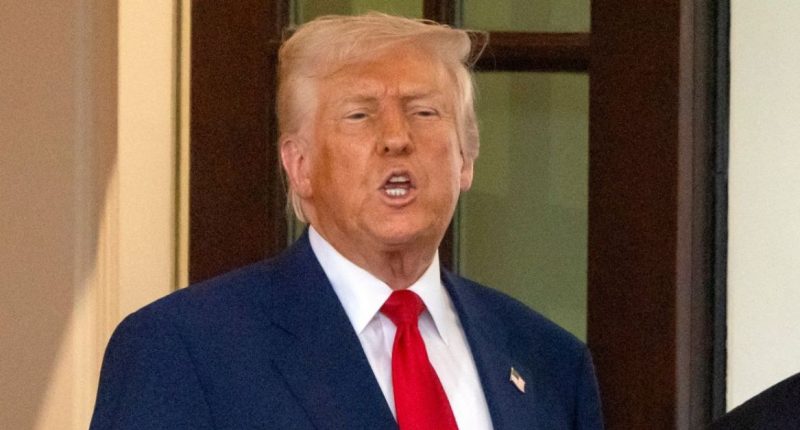 ‘An enormous financial threat’: Sanctuary cities decry Trump’s ‘unconstitutional campaign’ to ‘defund’ jurisdictions that refuse to assist federal immigration enforcement