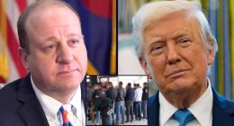 ‘Breach of the promises’: Colorado governor ’embroiling’ state officials in ICE raids ‘that appear to be lawless or violent’ and ‘target the innocent,’ lawsuit says