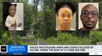 ‘Completely wrapped in Saran Wrap’: Mom admits striking 3-year-old daughter ’15-20 times’ with a belt and getting boyfriend to help her hide the body, police say