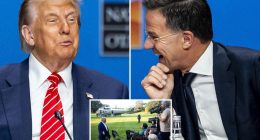 ‘Daddy’s home’: White House has fun with NATO chief’s viral remark about Trump