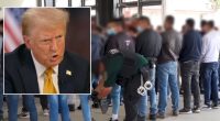 ‘Discretion and common sense’: Trump admin sues New York over ‘interference with immigration enforcement’ at or near courthouses