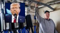 ‘Every participant is exempt … except for white males’: Dairy farmer says Trump USDA using ‘racial and sex-based’ classifications to block financial assistance