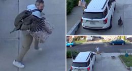 ‘Freaked out’ Staten Islander chased by furious turkey in wild driveway showdown caught on camera