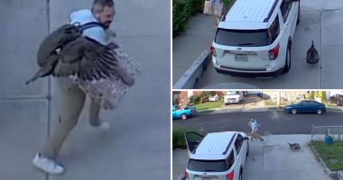 ‘Freaked out’ Staten Islander chased by furious turkey in wild driveway showdown caught on camera