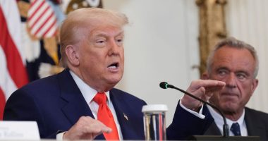 ‘Have we fallen so low’: Reagan-era judge accuses Trump admin of ‘palpable’ discrimination, orders NIH grants to be restored