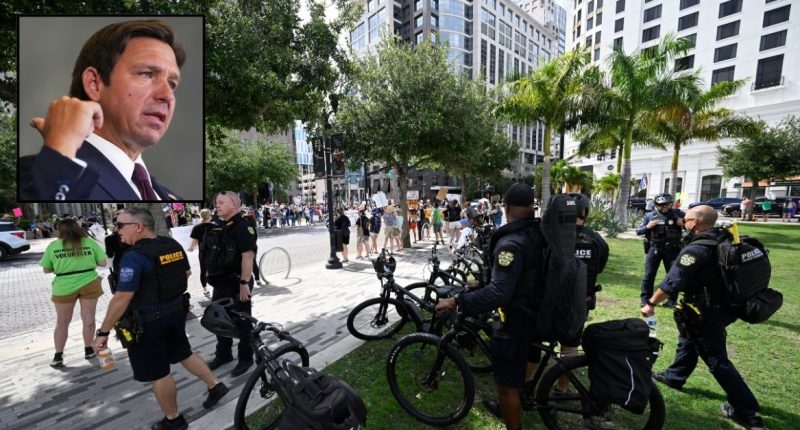 ‘That’s their fault’: Florida drivers have right to hit protesters if they fear for their safety, DeSantis says