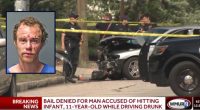 ‘The car actually goes airborne’: Baby dies on her 1st birthday after drunk driver runs over her and 11-year-old sister walking to park, police say