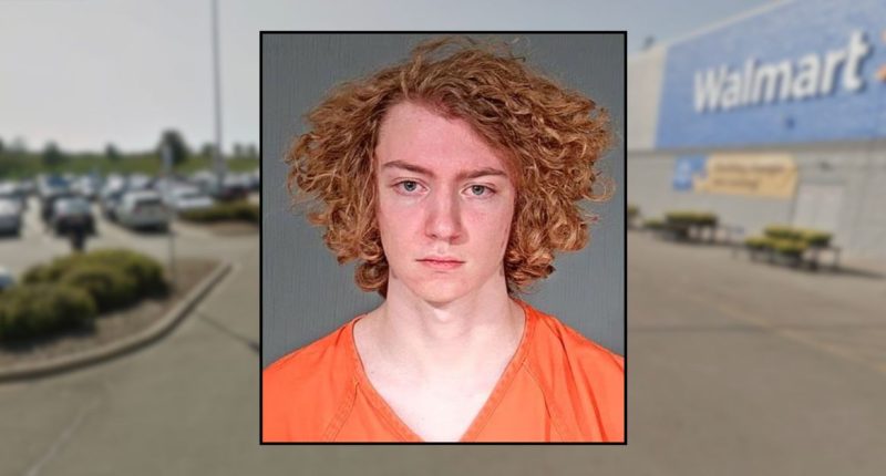 ‘This is the last night of her life’: Teen with ‘bad thoughts’ stabs girl he met on Snapchat in Walmart parking lot