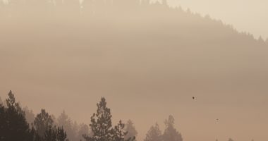‘This was a total ambush’: Officials Provide Update on Idaho Sniper Accused of Killing 2 Firefighters, Injuring Another