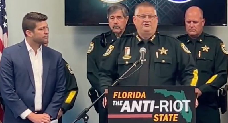 ‘We will kill you’: Sheriff warns violent ‘No Kings’ protesters that police will be ‘notifying your family where to collect your remains’