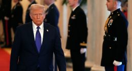 ‘Wrongly withholding agency records’: Trump admin ignoring FOIA requests on how it ‘collects, stores and uses’ DNA samples from immigrants, lawsuit says