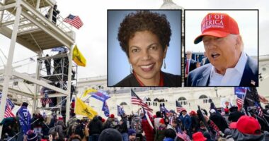 'A pardon cannot authorize reimbursement': Another judge swats down Jan. 6 restitution refund request, questions Trump DOJ's 'curious' reason for backing it