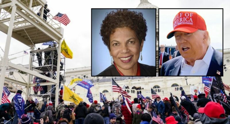 'A pardon cannot authorize reimbursement': Another judge swats down Jan. 6 restitution refund request, questions Trump DOJ's 'curious' reason for backing it