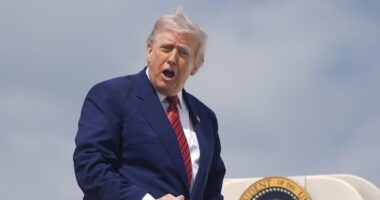 'All the hallmarks of arbitrary and capricious decision-making': Appeals court deals new blow to Trump's effort to stop funding scientific research