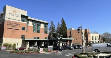 'An unrecognizable state beyond imaginability': Hospital lost track of bodies, lied to family members about where loved ones' decomposing remains were kept, lawsuits say