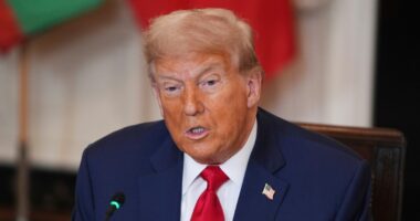'At the nadir of his constitutional powers': Public interest law firm urges appeals court to reject Trump's argument he has 'unlimited tariff authority'